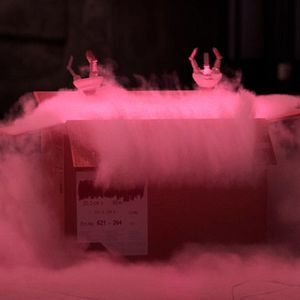 Foto Benny Loves You