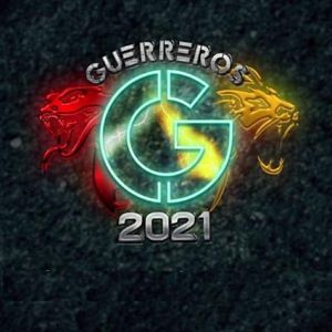 Foto Guerreros