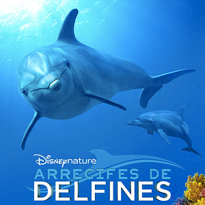 Foto Arrecife de delfines