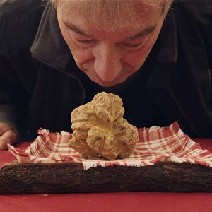 Foto The Truffle Hunters