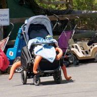 Foto Pixar en vida real