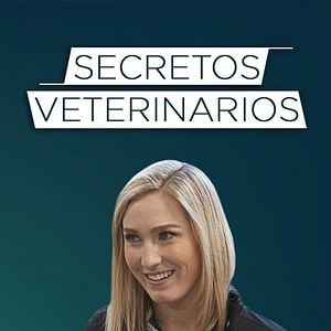 Foto Secretos veterinarios
