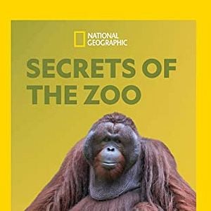 Foto Secretos veterinarios