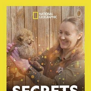 Foto Secretos veterinarios