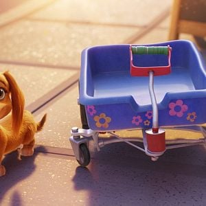 Foto Paw Patrol: La película