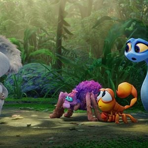 Foto Animalia en Australia