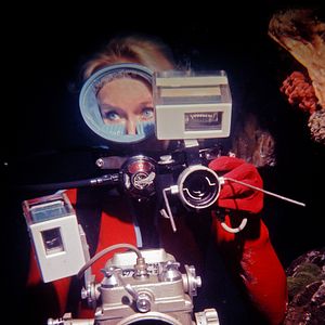 Foto Jugando con tiburones