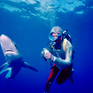 Foto Jugando con tiburones