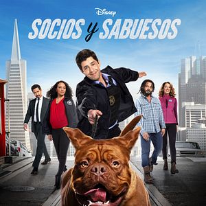 Foto Socios y sabuesos