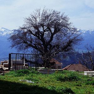 Foto Mariner of the Mountains