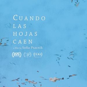 Foto Cuando las hojas caen