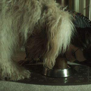 Foto Nuevo sabor cereza