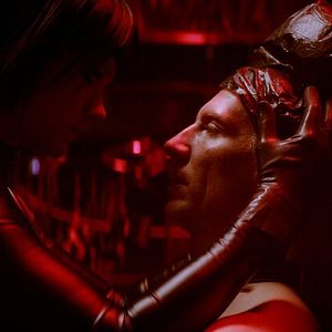 Foto Dogs Don’t Wear Pants