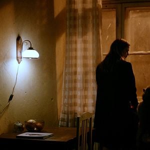 Foto Dogs Don’t Wear Pants