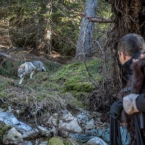 Foto You vs. Wild: Out Cold