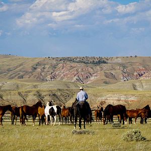 Foto Siempre quise ser cowboy