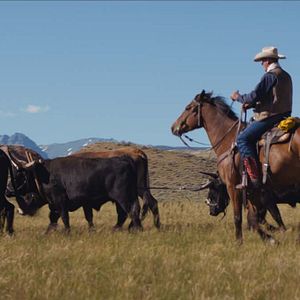 Foto Siempre quise ser cowboy