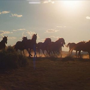 Foto Siempre quise ser cowboy