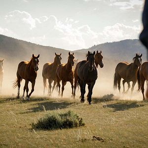 Foto Siempre quise ser cowboy