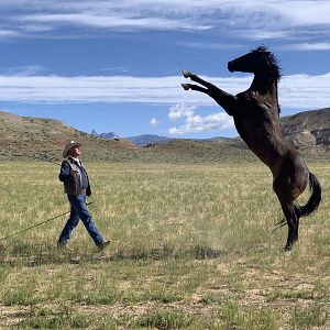 Foto Siempre quise ser cowboy