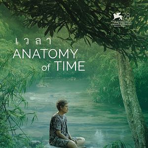 Foto Anatomy of Time