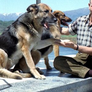Foto Colonia Dignidad: Una secta alemana en Chile