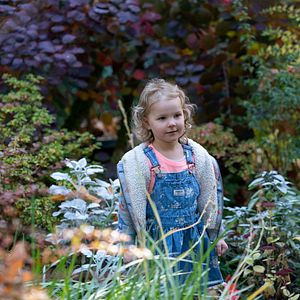 Foto Las cosas por limpiar