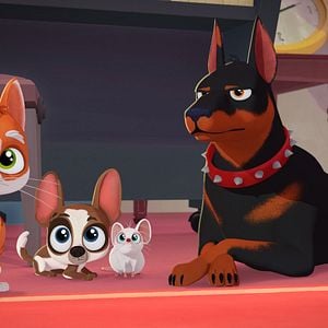 Foto Under The Vines