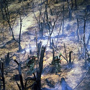 Foto Pecados de guerra