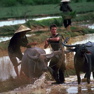 Foto Pecados de guerra