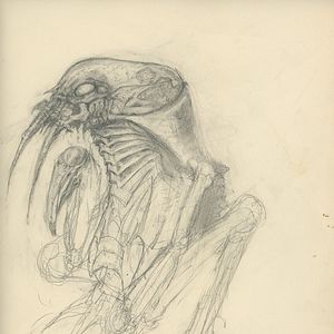 Foto Memory - The Origins of Alien