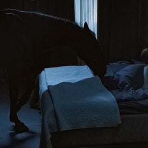 Foto La mano del demonio