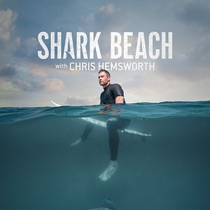 Foto Shark Beach with Chris Hemsworth