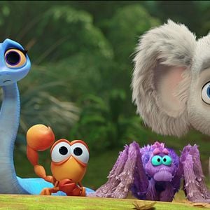 Foto Animalia en Australia