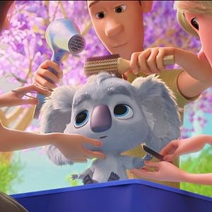 Foto Animalia en Australia