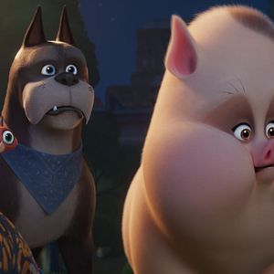 Foto DC Liga de Súper-Mascotas