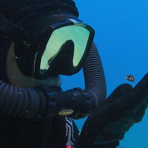 Foto Globo y las maravillas del arrecife