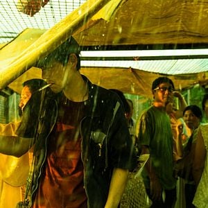 Foto Are You Lonesome Tonight?