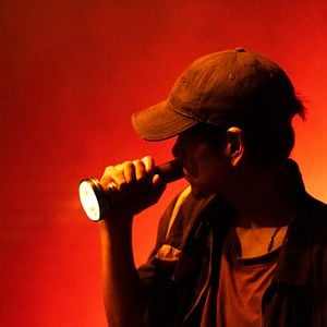 Foto Are You Lonesome Tonight?