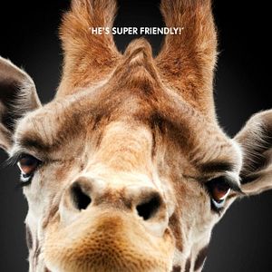 Foto ¿Qué pasó ayer? Parte 3