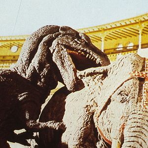 Foto El valle de Gwangi