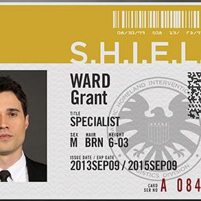 Foto Agentes de S.H.I.E.L.D.
