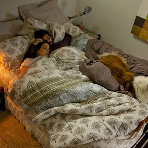 Foto Arbusto sin perro