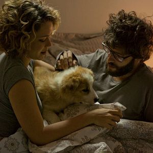 Foto Arbusto sin perro