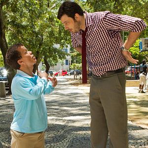 Foto Arbusto sin perro