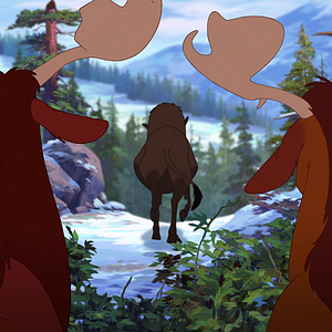 Foto Tierra de osos 2