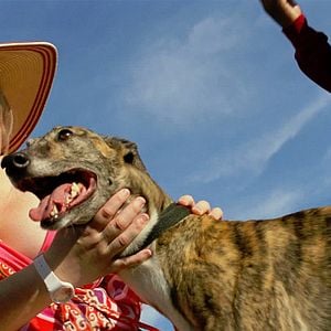 Foto Sangre, sudor y gloria