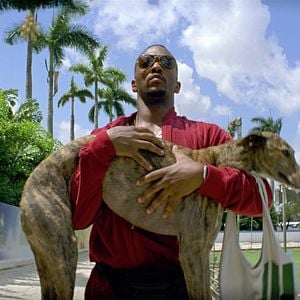 Foto Sangre, sudor y gloria