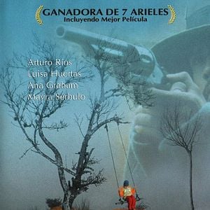 Foto Cuento de hadas para dormir cocodrilos