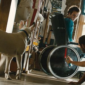 Foto Aras Bulut İynemli